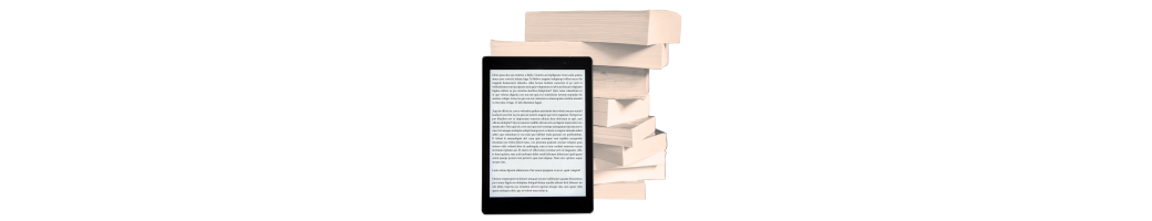 Epub_2 – Libros Dixitais de Maquetación Fluída | Lectura Flexible