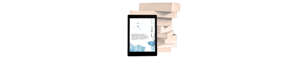 Epub_3 – Libros Dixitais de Maquetación Fixa | Experiencia Multimedia